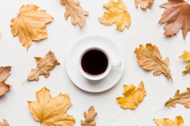 Renkli sonbahar kahve fincanı ve renkli yapraklarla bezenmiş düz bir kompozisyon. en üstteki görünüm.