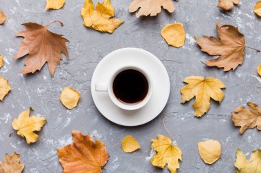 Renkli sonbahar kahve fincanı ve renkli yapraklarla bezenmiş düz bir kompozisyon. en üstteki görünüm.