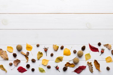 Sonbahar kompozisyonu. Masadaki kurumuş yapraklar ve diğer tasarım aksesuarlarından oluşan desen. Düz yatış, üst görünüm.