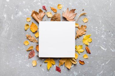 Kağıt boş ve kurumuş yapraklarla sonbahar kompozisyonu. Düz konum, üst görünüm, kopyalama alanı.