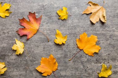 Sonbahar kompozisyonu. Masadaki kurumuş yapraklar ve diğer tasarım aksesuarlarından oluşan desen. Düz yatış, üst görünüm.