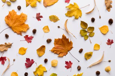 Sonbahar kompozisyonu. Masadaki kurumuş yapraklar ve diğer tasarım aksesuarlarından oluşan desen. Düz yatış, üst görünüm.