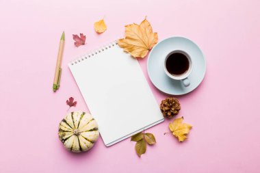 Sonbahar kompozisyonu: Düşen yapraklar ve el işi çizimleri renkli arka planda taklit edilir. Üst Manzara. Kopyalama alanı olan düz.