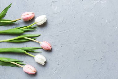 Renkli bir tatil çerçevesinde pembe ve beyaz laleler. 8 Mart, doğum günü, anneler günü için çiçek arkaplanı. Üst görünüm düzlemini kopyala.