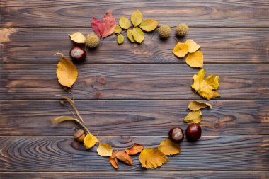 Masadaki kurumuş yapraklar, koniler ve meşe palamutlarından oluşan sonbahar kompozisyonu. Düz yatış, üst görünüm.