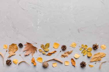 Sonbahar kompozisyonu. Masadaki kurumuş yapraklar ve diğer tasarım aksesuarlarından oluşan desen. Düz yatış, üst görünüm.