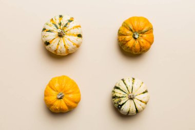 Renkli masa arkasında küçük turuncu balkabaklarının sonbahar kompozisyonu. Sonbahar, Cadılar Bayramı ve Şükran Günü konsepti. Sonbahar düz fotoğraf çekimi. Üst görünüm vith kopyalama alanı.