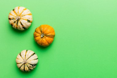 Renkli masa arkasında küçük turuncu balkabaklarının sonbahar kompozisyonu. Sonbahar, Cadılar Bayramı ve Şükran Günü konsepti. Sonbahar düz fotoğraf çekimi. Üst görünüm vith kopyalama alanı.