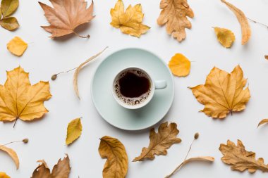Renkli sonbahar kahve fincanı ve renkli yapraklarla bezenmiş düz bir kompozisyon. en üstteki görünüm.