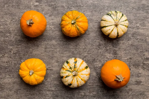 Renkli masa arkasında küçük turuncu balkabaklarının sonbahar kompozisyonu. Sonbahar, Cadılar Bayramı ve Şükran Günü konsepti. Sonbahar düz fotoğraf çekimi. Üst görünüm vith kopyalama alanı.