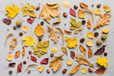 Sonbahar kompozisyonu. Masadaki kurumuş yapraklar ve diğer tasarım aksesuarlarından oluşan desen. Düz yatış, üst görünüm.