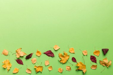 Sonbahar kompozisyonu. Masadaki kurumuş yapraklar ve diğer tasarım aksesuarlarından oluşan desen. Düz yatış, üst görünüm.