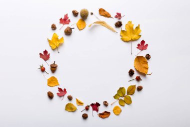 Masadaki kurumuş yapraklar, koniler ve meşe palamutlarından oluşan sonbahar kompozisyonu. Düz konum, üst görünüm, kopyalama alanı.