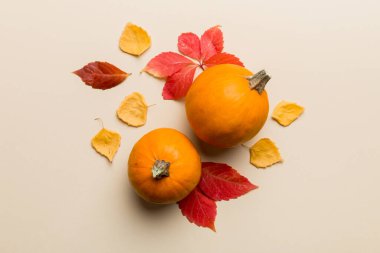 Sonbahar kompozisyonu. Masadaki kurumuş yapraklar ve diğer tasarım aksesuarlarından oluşan desen. Düz yatış, üst görünüm.