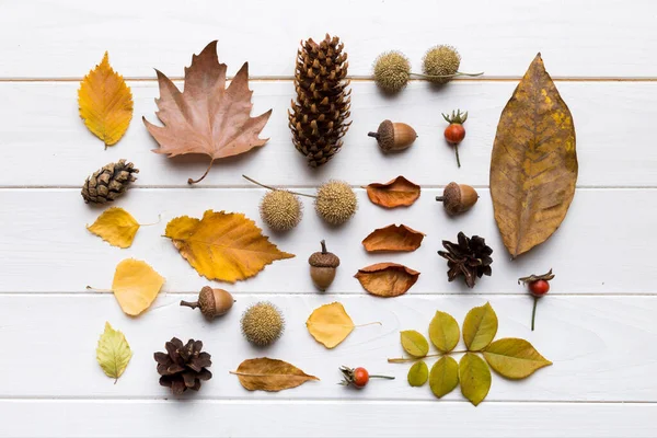 Autumn Composition Pattern Made Dried Leaves Other Design Accessories Table — Stock Photo, Image
