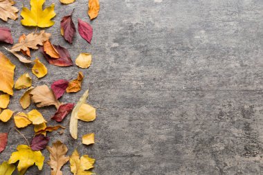 Sonbahar kompozisyonu. Masadaki kurumuş yapraklar ve diğer tasarım aksesuarlarından oluşan desen. Düz yatış, üst görünüm.