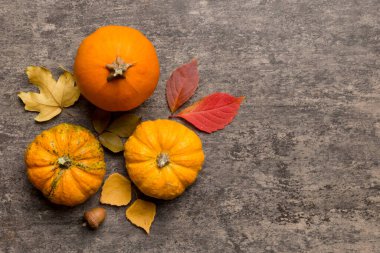 Sonbahar kompozisyonu. Masadaki kurumuş yapraklar ve diğer tasarım aksesuarlarından oluşan desen. Düz yatış, üst görünüm.