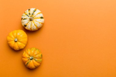 Renkli masa arkasında küçük turuncu balkabaklarının sonbahar kompozisyonu. Sonbahar, Cadılar Bayramı ve Şükran Günü konsepti. Sonbahar düz fotoğraf çekimi. Üst görünüm vith kopyalama alanı.