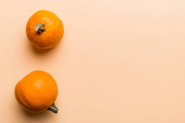 Renkli masa arkasında küçük turuncu balkabaklarının sonbahar kompozisyonu. Sonbahar, Cadılar Bayramı ve Şükran Günü konsepti. Sonbahar düz fotoğraf çekimi. Üst görünüm vith kopyalama alanı.