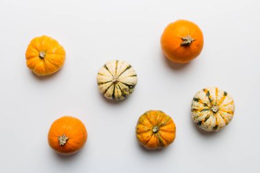 Renkli masa arkasında küçük turuncu balkabaklarının sonbahar kompozisyonu. Sonbahar, Cadılar Bayramı ve Şükran Günü konsepti. Sonbahar düz fotoğraf çekimi. Üst görünüm vith kopyalama alanı.