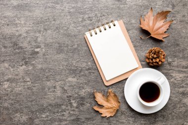 Sonbahar kompozisyonu: Düşen yapraklar ve el işi çizimleri renkli arka planda taklit edilir. Üst Manzara. Kopyalama alanı olan düz.