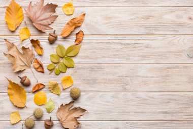 Sonbahar kompozisyonu. Masadaki kurumuş yapraklar ve diğer tasarım aksesuarlarından oluşan desen. Düz yatış, üst görünüm.