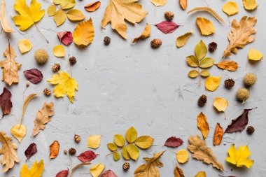Masadaki kurumuş yapraklar, koniler ve meşe palamutlarından oluşan sonbahar kompozisyonu. Düz yatış, üst görünüm.
