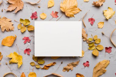 Kağıt boş ve kurumuş yapraklarla sonbahar kompozisyonu. Düz konum, üst görünüm, kopyalama alanı.