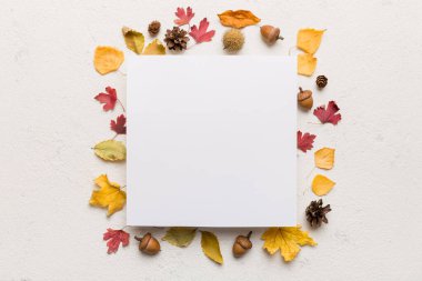 Kağıt boş ve kurumuş yapraklarla sonbahar kompozisyonu. Düz konum, üst görünüm, kopyalama alanı.