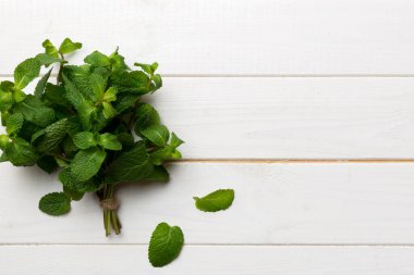 Nane yaprağı. Renkli arka planda taze nane. Darphane izole edilmiş Üst görünümü kopyalama alanı ile bırakır.