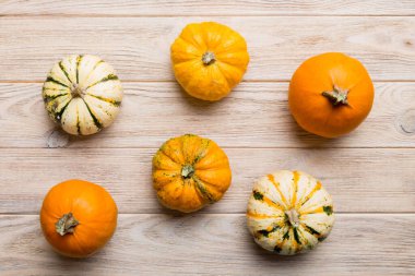 Renkli masa arkasında küçük turuncu balkabaklarının sonbahar kompozisyonu. Sonbahar, Cadılar Bayramı ve Şükran Günü konsepti. Sonbahar düz fotoğraf çekimi. Üst görünüm vith kopyalama alanı.