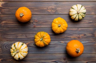 Renkli masa arkasında küçük turuncu balkabaklarının sonbahar kompozisyonu. Sonbahar, Cadılar Bayramı ve Şükran Günü konsepti. Sonbahar düz fotoğraf çekimi. Üst görünüm vith kopyalama alanı.