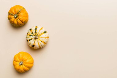 Renkli masa arkasında küçük turuncu balkabaklarının sonbahar kompozisyonu. Sonbahar, Cadılar Bayramı ve Şükran Günü konsepti. Sonbahar düz fotoğraf çekimi. Üst görünüm vith kopyalama alanı.