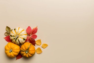 Sonbahar kompozisyonu. Masadaki kurumuş yapraklar ve diğer tasarım aksesuarlarından oluşan desen. Düz yatış, üst görünüm.