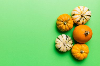 Renkli masa arkasında küçük turuncu balkabaklarının sonbahar kompozisyonu. Sonbahar, Cadılar Bayramı ve Şükran Günü konsepti. Sonbahar düz fotoğraf çekimi. Üst görünüm vith kopyalama alanı.