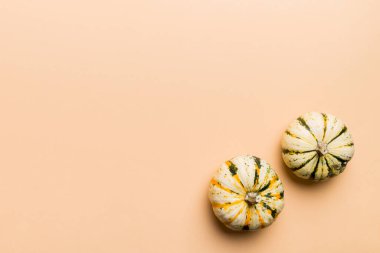 Renkli masa arkasında küçük turuncu balkabaklarının sonbahar kompozisyonu. Sonbahar, Cadılar Bayramı ve Şükran Günü konsepti. Sonbahar düz fotoğraf çekimi. Üst görünüm vith kopyalama alanı.