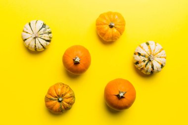 Renkli masa arkasında küçük turuncu balkabaklarının sonbahar kompozisyonu. Sonbahar, Cadılar Bayramı ve Şükran Günü konsepti. Sonbahar düz fotoğraf çekimi. Üst görünüm vith kopyalama alanı.