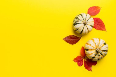 Sonbahar kompozisyonu. Masadaki kurumuş yapraklar ve diğer tasarım aksesuarlarından oluşan desen. Düz yatış, üst görünüm.