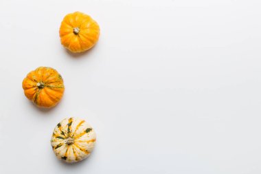 Renkli masa arkasında küçük turuncu balkabaklarının sonbahar kompozisyonu. Sonbahar, Cadılar Bayramı ve Şükran Günü konsepti. Sonbahar düz fotoğraf çekimi. Üst görünüm vith kopyalama alanı.