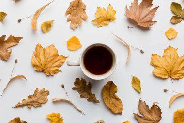 Renkli sonbahar kahve fincanı ve renkli yapraklarla bezenmiş düz bir kompozisyon. en üstteki görünüm.