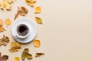 Renkli sonbahar kahve fincanı ve renkli yapraklarla bezenmiş düz bir kompozisyon. en üstteki görünüm.