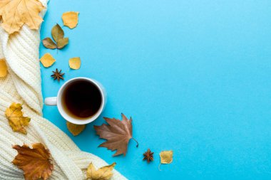 Renkli sonbahar kahve fincanı ve renkli yapraklarla bezenmiş düz bir kompozisyon. en üstteki görünüm.