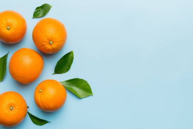 Renkli arka planda taze meyve portakalı dilimleri. Üst Manzara. Uzayı kopyala yaratıcı yaz konsepti. Minimum düzlükte turunçgillerin yarısı kopyalama alanı ile yatar.