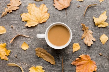 Sonbahar yapraklı bir fincan kakao soyut natürmort yaşam üst görünüm kopyalama alanı.