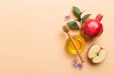 Renkli arka planda yahudi Rosh Hashanah bayramı sembolleri olan düz kompozisyon, Rosh hashanah kavramı. Geleneksel yılbaşı tatili. Kopyalama alanı olan üst görünüm.