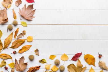 Sonbahar kompozisyonu. Masadaki kurumuş yapraklar ve diğer tasarım aksesuarlarından oluşan desen. Düz yatış, üst görünüm.