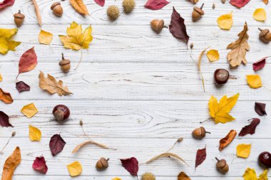 Masadaki kurumuş yapraklar, koniler ve meşe palamutlarından oluşan sonbahar kompozisyonu. Düz yatış, üst görünüm.