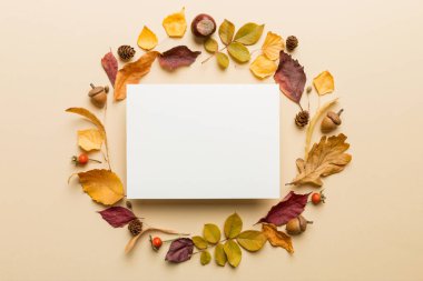 Kağıt boş ve kurumuş yapraklarla sonbahar kompozisyonu. Düz konum, üst görünüm, kopyalama alanı.