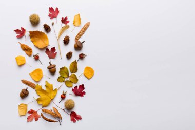 Sonbahar kompozisyonu. Masadaki kurumuş yapraklar ve diğer tasarım aksesuarlarından oluşan desen. Düz yatış, üst görünüm.