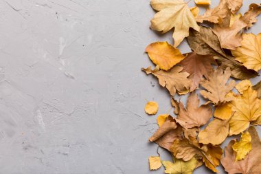 Sonbahar kompozisyonu. Masadaki kurumuş yapraklar ve diğer tasarım aksesuarlarından oluşan desen. Düz yatış, üst görünüm.